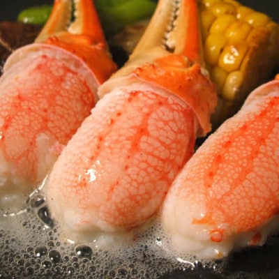2種食べ比べ  生冷本ずわい蟹ポーション(500g)・爪(200g)計700gセット
