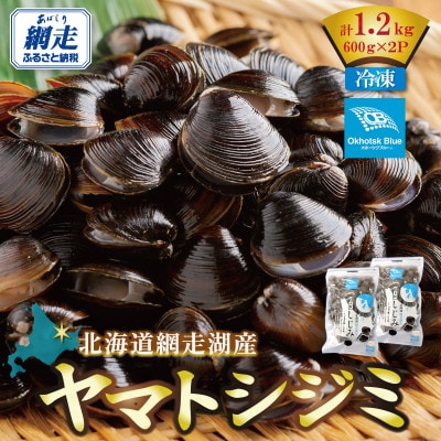 北海道網走湖産 ヤマトシジミ 計1,200g
