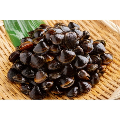 【数量限定】北海道網走湖産 ヤマトシジミ 計2,400g