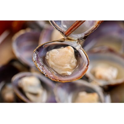 【数量限定】北海道網走湖産 ヤマトシジミ 計2,400g