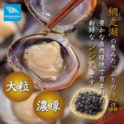 北海道網走湖産 ヤマトシジミ 計2,400g