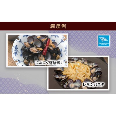 北海道網走湖産 ヤマトシジミ 計2,400g