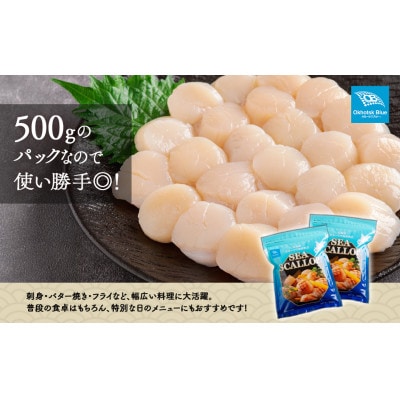 【数量限定】北海道オホーツク海産ホタテ玉冷 500g×2パック(計1kg)