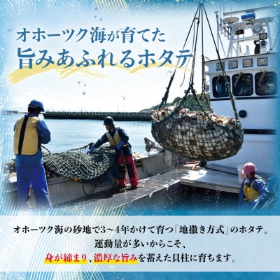 北海道オホーツク海産ホタテ玉冷 500g×2パック(計1kg)