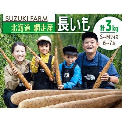 令和7年産　SUZUKI FARM　長いも　3kg(S～Mサイズ 6～7本)