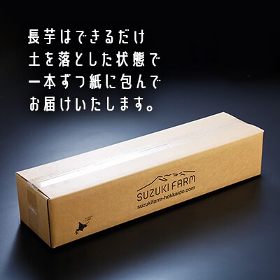 令和7年産　SUZUKI FARM　長いも　3kg(S～Mサイズ 6～7本)