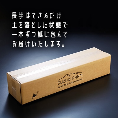 令和7年産　SUZUKI FARM　長いも10kg (L～2Lサイズ 13～15本)