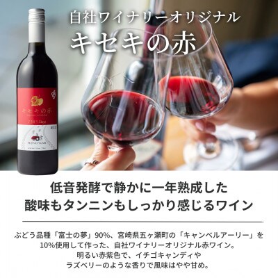 ぶどうの樹の自家製スモーク(4種)A&自社醸造の赤ワインセット　