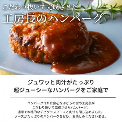 ぶどうの樹の自家製デミグラスハンバーグ(10個)セット【冷凍】