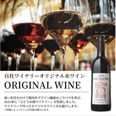ぶどうの樹の自家製スモーク(6種)B&自社醸造の赤ワインセット