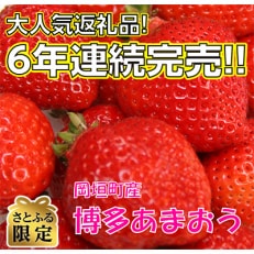 【さとふる限定】遠賀郡岡垣町産「博多あまおう　DX(デラックス)」270g×4パック | ふるさと納税のお礼品