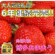 【さとふる限定】遠賀郡岡垣町産「博多あまおう DX(デラックス)」270g&times;4パック