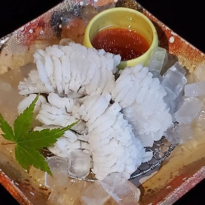 【期間限定】沖ノ島～遠賀の海域で獲れたはつしろの鱧しゃぶセット3～4人前
