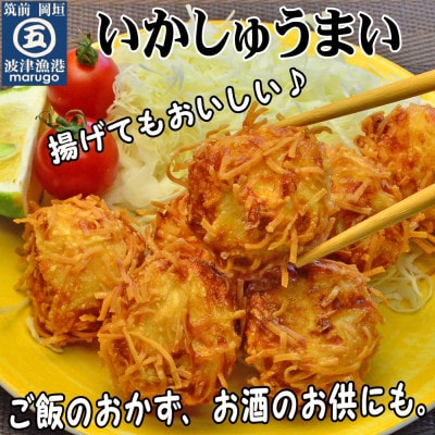 いかしゅうまい30個　ツヤツヤぷるるんっ。(岡垣町)
