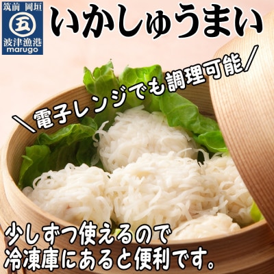 いかしゅうまい30個　ツヤツヤぷるるんっ。(岡垣町)