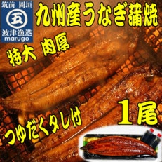 肉厚九州産うなぎ蒲焼1尾つゆだくタレ付 老舗鮮魚店秘伝の味(岡垣町)