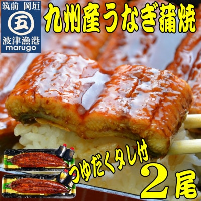 九州産うなぎ蒲焼2尾　秘伝つゆだくタレ付　老舗鮮魚店の味(岡垣町)
