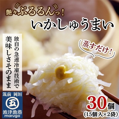 【発送月固定定期便】いかしゅうまい30個　ツヤツヤぷるるんっ。(岡垣町)全6回 | ふるさと納税のお礼品