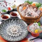 【毎月定期便】とらふぐフルコース【刺身菊盛・ちり鍋】〆はマルゴめん　豪華2人前全6回