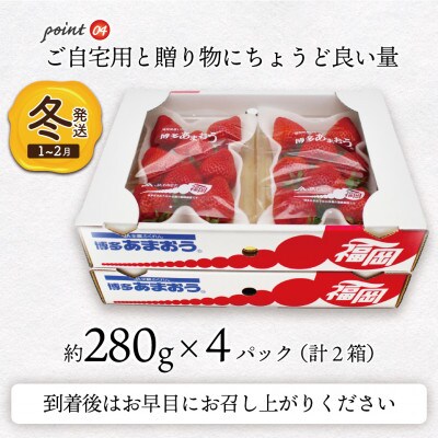 博多あまおう4パック(冬)『2024年1～2月発送』