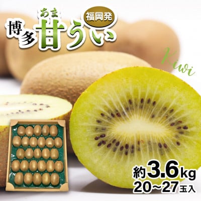 福岡県ブランドキウイフルーツ博多甘うぃ 約3.6kg(岡垣町)