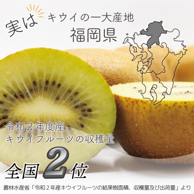 福岡県ブランドキウイフルーツ博多甘うぃ 約3.6kg(岡垣町)