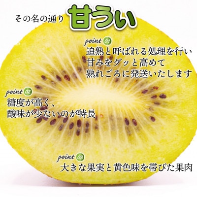福岡県ブランドキウイフルーツ博多甘うぃ 約3.6kg(岡垣町)