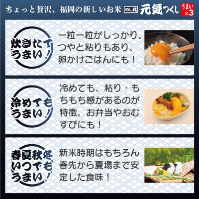 福岡県産米　酸味料不使用「元気つくし」パックご飯　200g×24パック(岡垣町)