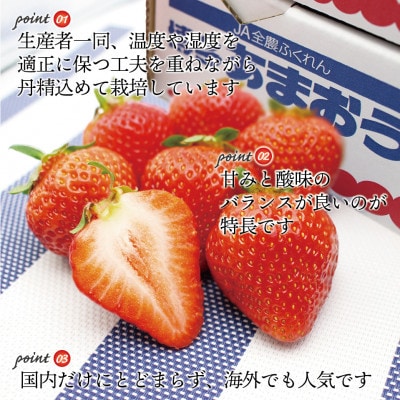 【2027年2月上旬～4月下旬発送予定】博多あまおう(春) 250g-270g×2パック(岡垣町)