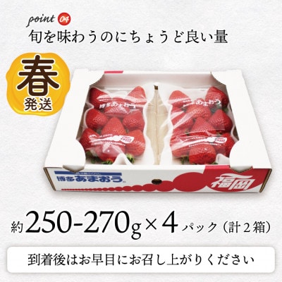 【2026年2月上旬～4月下旬発送予定】博多あまおう(春)(250g-270g)×4パック(岡垣町)