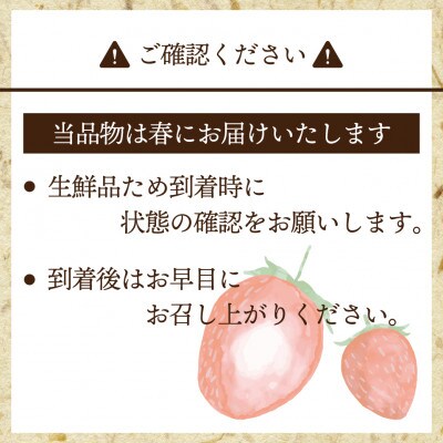 【2026年2月上旬～4月下旬発送予定】博多あまおう(春)(250g-270g)×4パック(岡垣町)