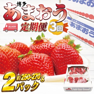 【発送月固定定期便】博多あまおう(250g-270g)×2P (岡垣町)全3回