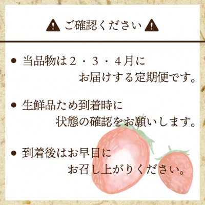 【発送月固定定期便】博多あまおう(250g-270g)×2P (岡垣町)全3回