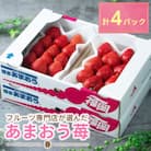 【2026年発送先行受付】福岡産【春】あまおういちご約250g×4パック(岡垣町)