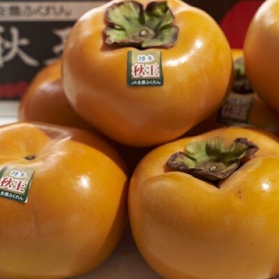 福岡産ブランド柿・秋王4-6玉(約1.5kg)(岡垣町)