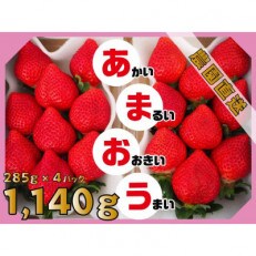 【2023年2月上旬より順次発送】あまおう 約285g×4パック