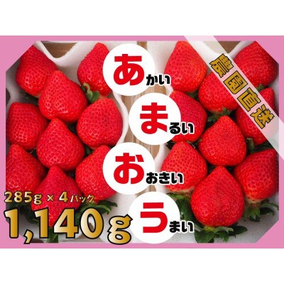 【2023年2月上旬より順次発送】あまおう 約285g×4パック