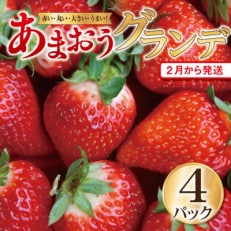 【2024年2月上旬発送】【あまおうグランデサイズ】5玉～15玉(4パック)【2月より順次発送】