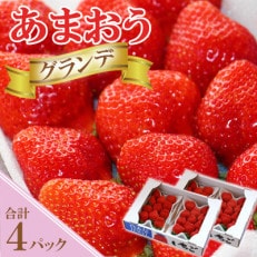 【あまおうグランデサイズ】3玉～15玉(4パック)【1月より順次発送】(岡垣町)