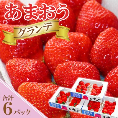 福岡県産【あまおうグランデサイズ】3玉～15玉(6パック)【1月より順次発送】(岡垣町)