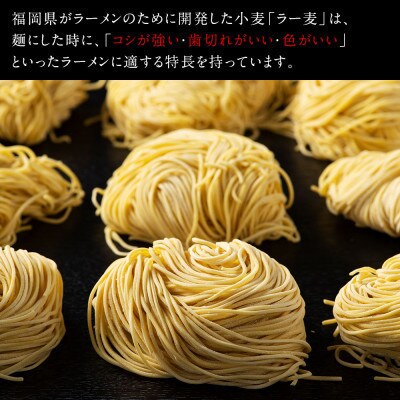 福岡県産ラー麦100%ラーメン 味噌 濃縮スープ40g×10袋・麺100g×10玉(岡垣町)