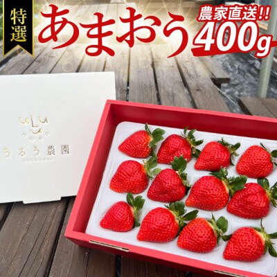 【先行受付】特選あまおう　400g(岡垣町)