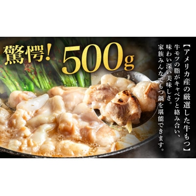 魚住商店あごだし【醤油仕立て】もつ鍋セットもつ増量500g【2～3人前セット】