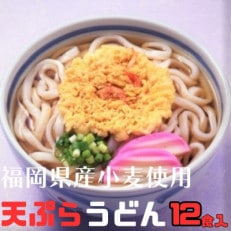 フジギク天ぷらうどん 242g(12食入り)