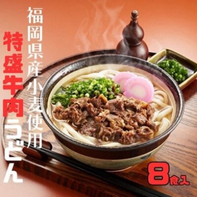 【毎月定期便】特盛牛肉うどん 8食入り×全6回
