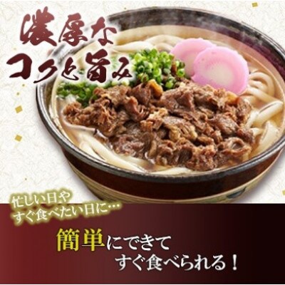【毎月定期便】特盛牛肉うどん 8食入り×全6回