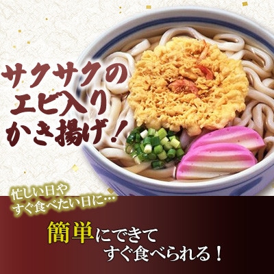 【毎月定期便】天ぷらうどん 12食入り×全3回