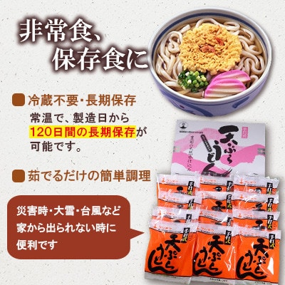 【毎月定期便】天ぷらうどん 12食入り×全3回