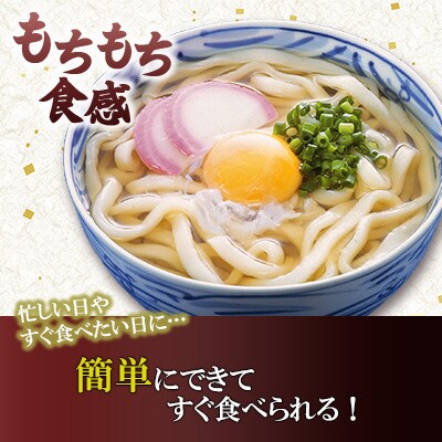 【毎月定期便】手打ち式うどん 16食入り×全6回