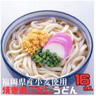 【毎月定期便】フジギク焼きあごだしうどん 16食入り×全12回
